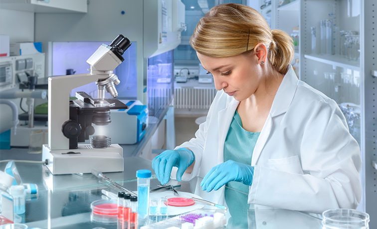 रियल टाइम pccr प्लेट एक लोकप्रिय प्रयोगशाला डिस्पोजेबल है जिसका व्यापक रूप से चिकित्सा, आनुवंशिकी, प्रतिरक्षा, जैव रसायन से संबंधित अनुप्रयोग में व्यापक रूप से उपयोग किया जा सकता है